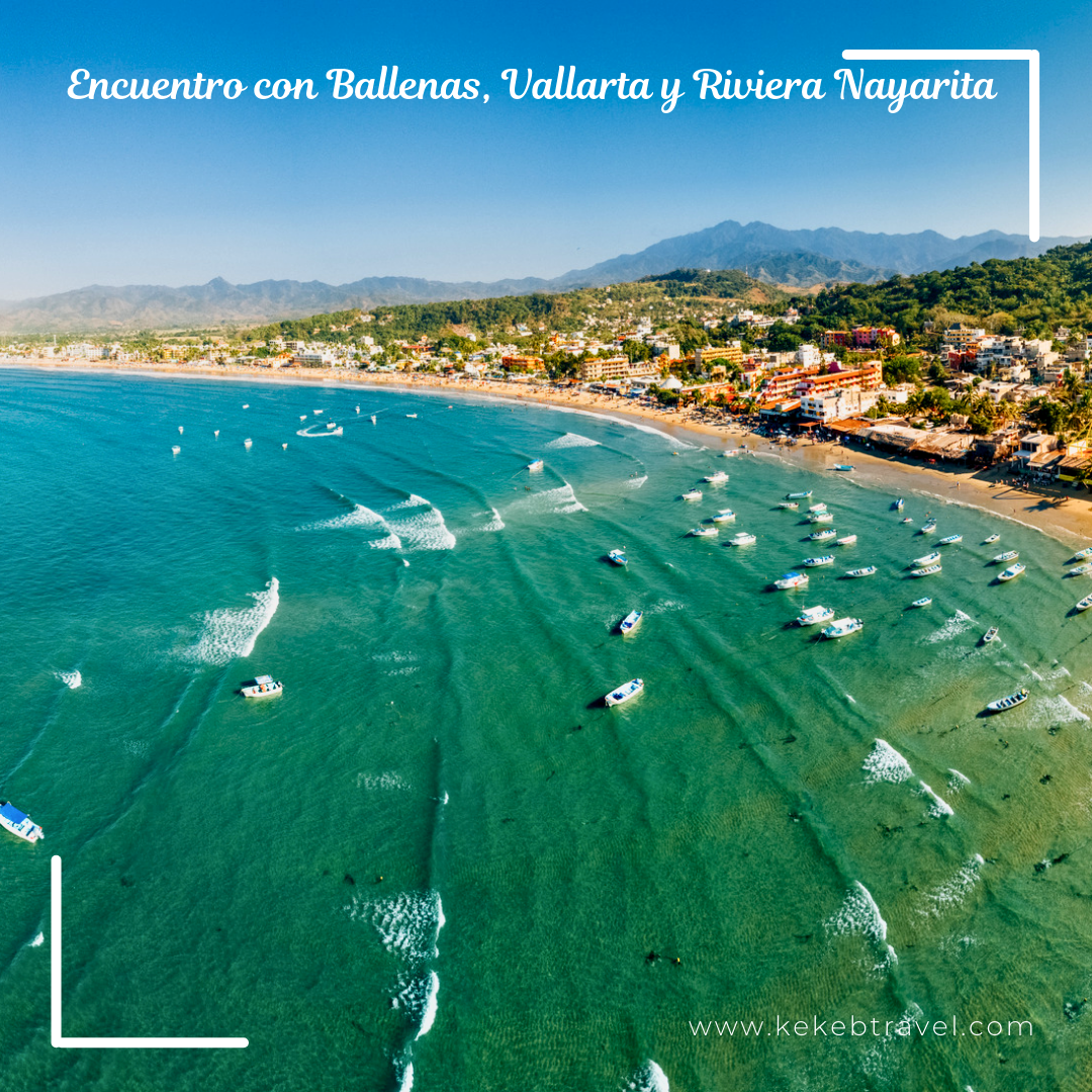 Encuentro con Ballenas, Vallarta, 1