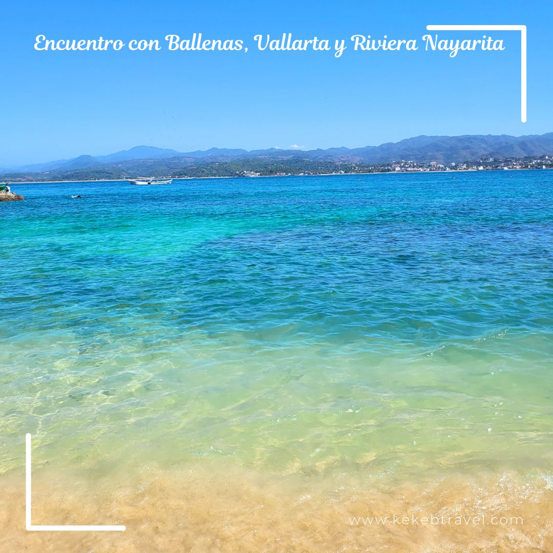 Encuentro con Ballenas, Vallarta, 3
