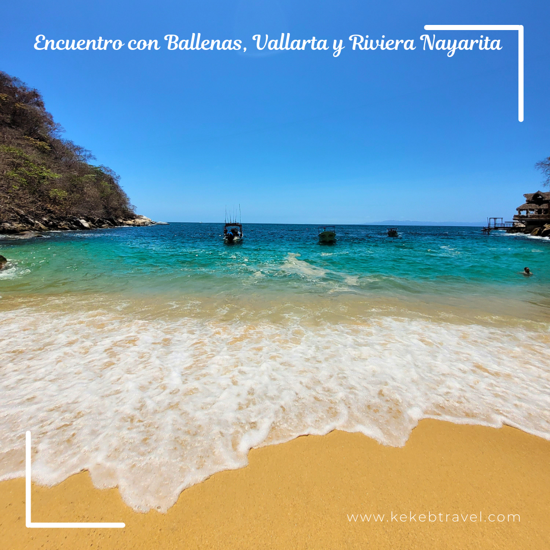 Encuentro con Ballenas, Vallarta, 6