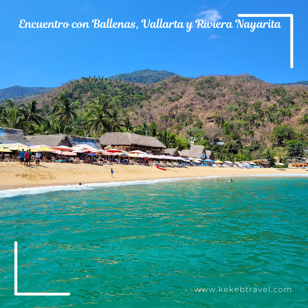 Encuentro con Ballenas, Vallarta, 9