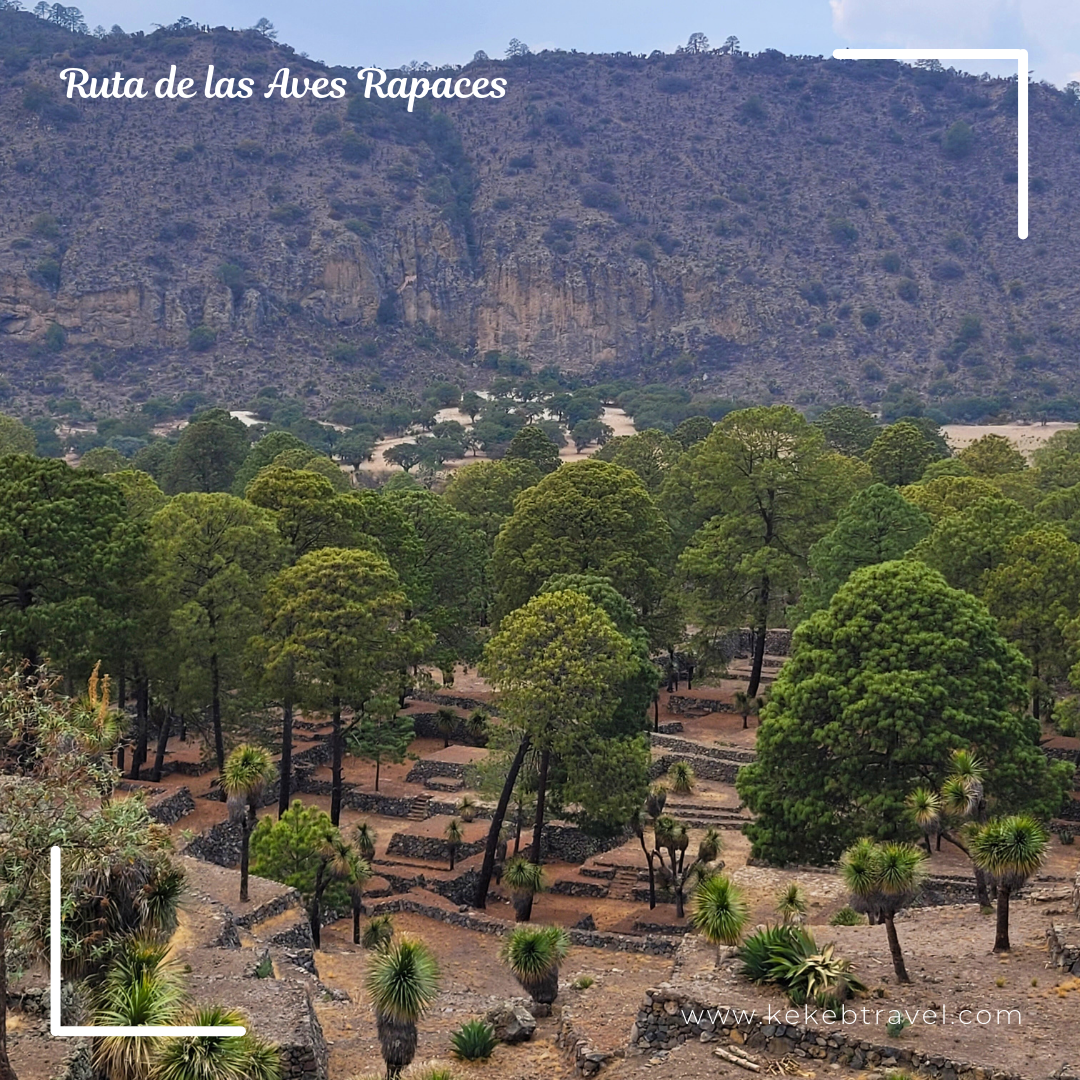 Ruta de las Aves Rapaces 4